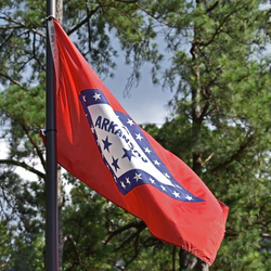 Arkansas flag