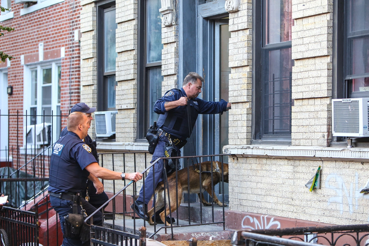 Police raiding a house in New York 